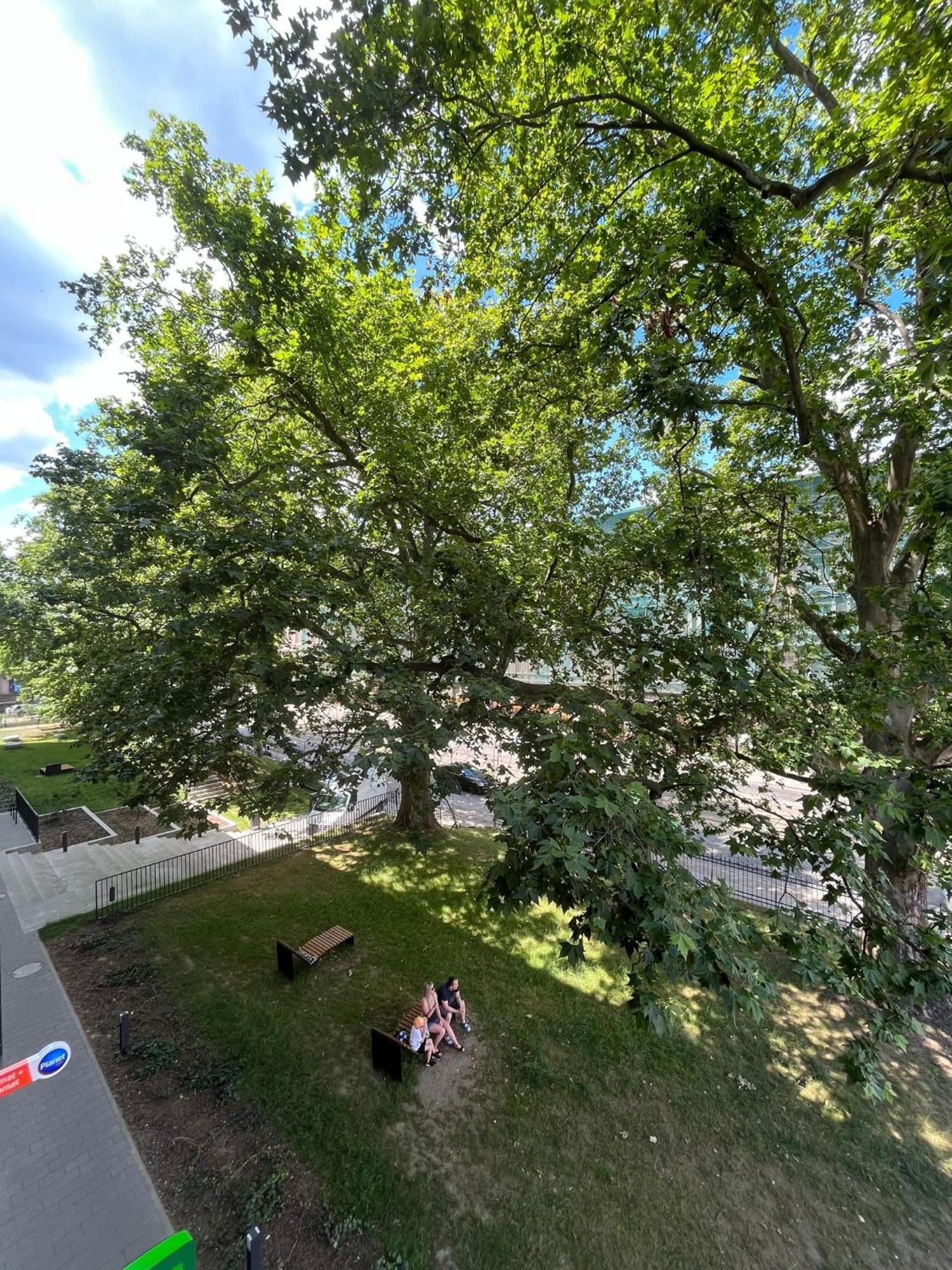 Komfort Z Balkonem W Centrum Vratislav Exteriér fotografie